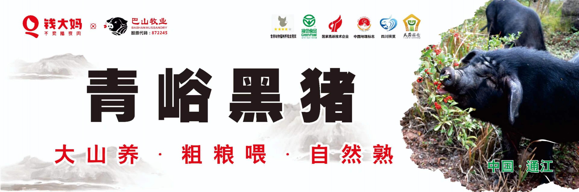 8月19日，青峪黑豬肉 正式在“錢大媽”重慶市場開賣